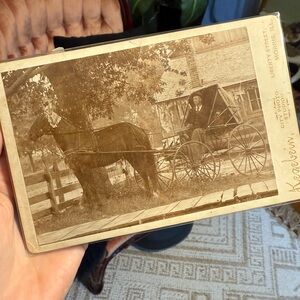 Antique Cabinet Photo Horse Carriage